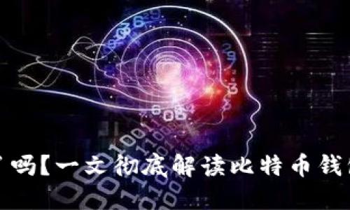 比特币钱包运转了吗？一文彻底解读比特币钱包的功能与安全性