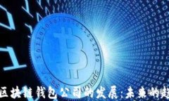 探索中国区块链钱包公司