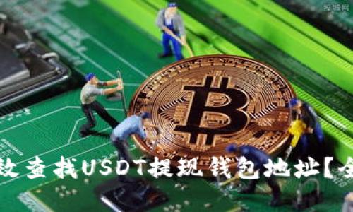 如何高效查找USDT提现钱包地址？全面指南