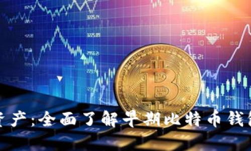 保护您的资产：全面了解早期比特币钱包文件私钥