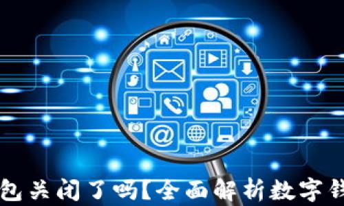 
虚拟币钱包关闭了吗？全面解析数字钱包的未来