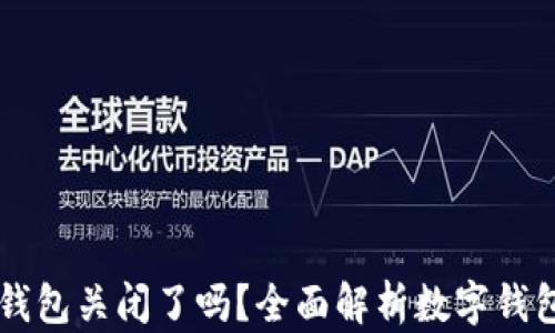 
虚拟币钱包关闭了吗？全面解析数字钱包的未来