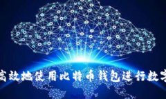 如何安全高效地使用比特