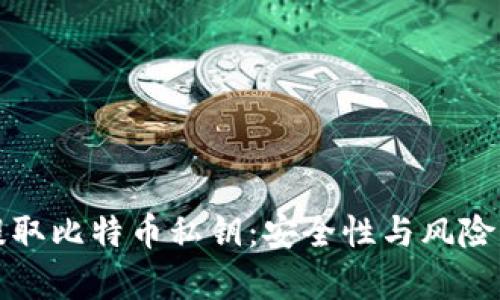 从钱包里提取比特币私钥：安全性与风险的全面解析