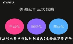 如何应对比特币钱包私钥