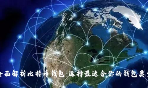 全面解析比特币钱包：选择最适合你的钱包类型