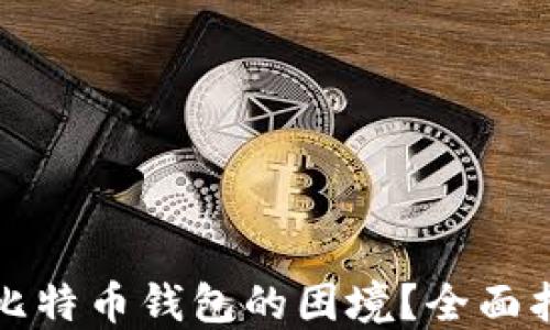 
如何应对丢失比特币钱包的困境？全面指南与解决方案