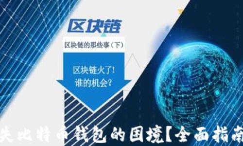 
如何应对丢失比特币钱包的困境？全面指南与解决方案