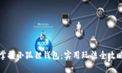 掌握小狐狸钱包：实用玩