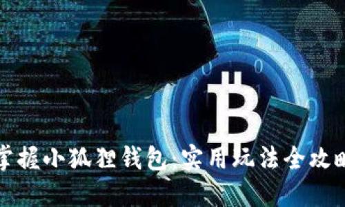 掌握小狐狸钱包：实用玩法全攻略