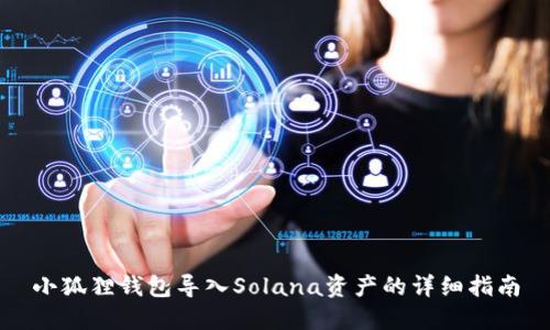 小狐狸钱包导入Solana资产的详细指南