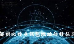 深入解析比特币钱包地址