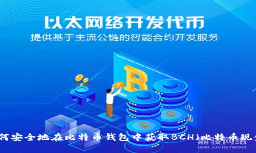 如何安全地在比特币钱包中获取BCH（比特币现金）