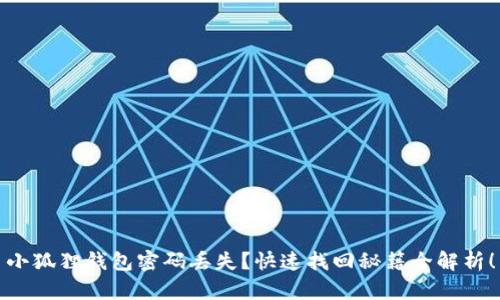 小狐狸钱包密码丢失？快速找回秘籍全解析！