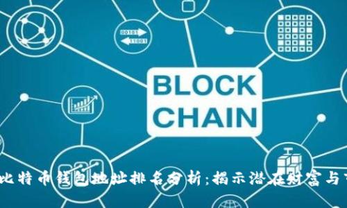 2023年比特币钱包地址排名分析：揭示潜在财富与市场动态