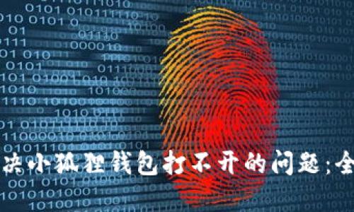 如何解决小狐狸钱包打不开的问题：全面指南