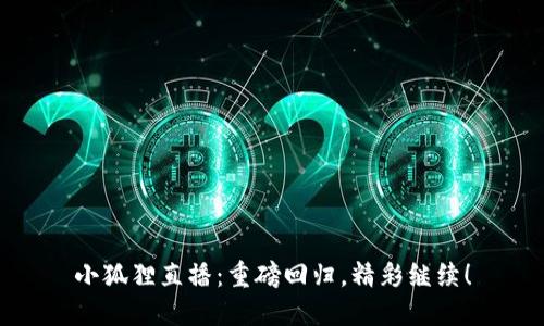 小狐狸直播：重磅回归，精彩继续！