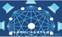 安全存储USDT的最佳钱包推