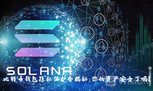 比特币钱包隐私保护全揭秘：你的资产安全了吗？