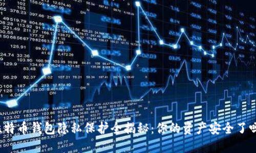 比特币钱包隐私保护全揭秘：你的资产安全了吗？