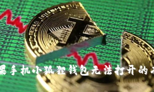 解决苹果手机小狐狸钱包无法打开的有效方法