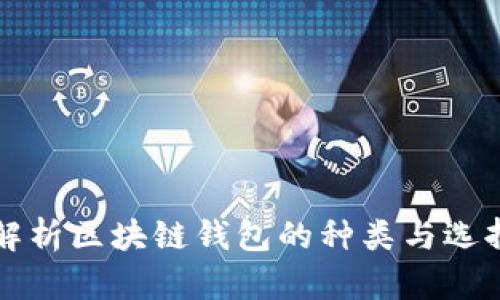 全面解析区块链钱包的种类与选择指南