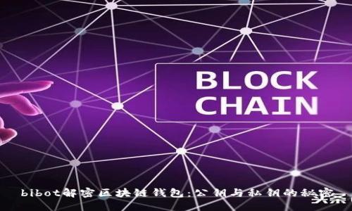 bibot解密区块链钱包：公钥与私钥的秘密