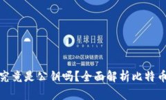 : 比特币钱包地址究竟是公