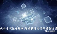 比特币钱包全解析：选择