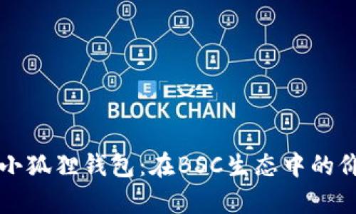 全面解析小狐狸钱包：在BSC生态中的价值与应用