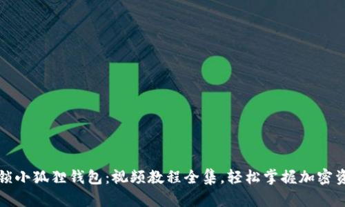 全面解锁小狐狸钱包：视频教程全集，轻松掌握加密资产管理