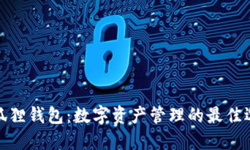 小狐狸钱包：数字资产管理的最佳选择