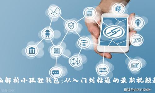 全面解析小狐狸钱包：从入门到精通的最新视频教程