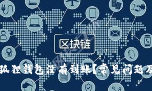 为什么小狐狸钱包没有到账？常见问题及解决方案