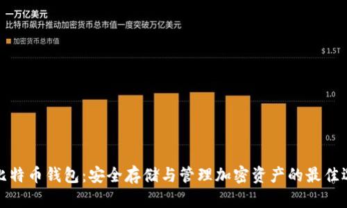 大比特币钱包：安全存储与管理加密资产的最佳选择