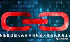 全面解析国内比特币钱包客户端的现状与未来