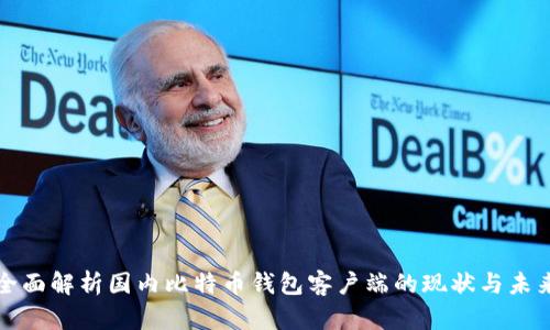 全面解析国内比特币钱包客户端的现状与未来