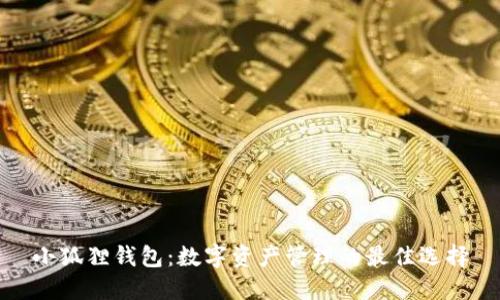 小狐狸钱包：数字资产管理的最佳选择