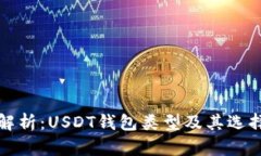 全面解析：USDT钱包类型及其选择指南