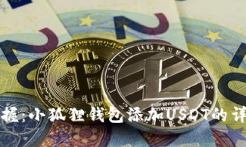轻松掌握：小狐狸钱包添加USDT的详细教程