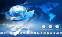 探索小狐狸的世界：亲密接触自然的神奇旅程