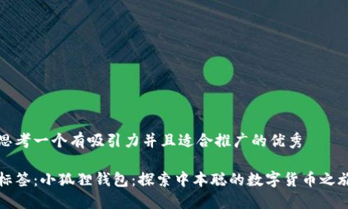 思考一个有吸引力并且适合推广的优秀

标签：小狐狸钱包：探索中本聪的数字货币之旅