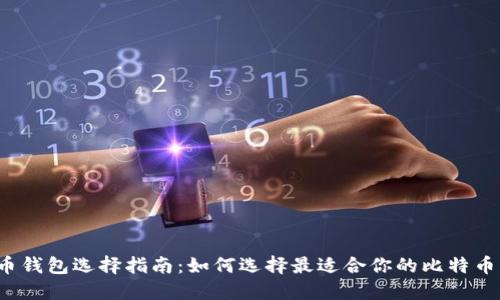 比特币钱包选择指南：如何选择最适合你的比特币钱包？