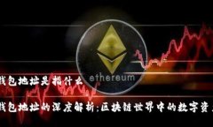 USDT钱包地址是指什么USD