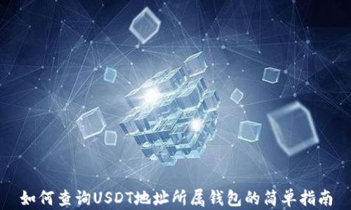 
如何查询USDT地址所属钱包的简单指南