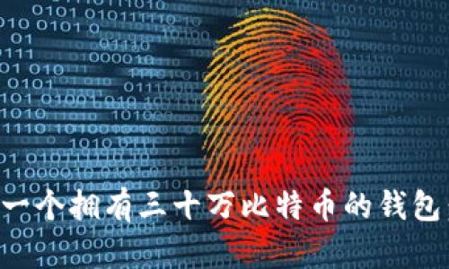 如何打造一个拥有三十万比特币的钱包：完整指南