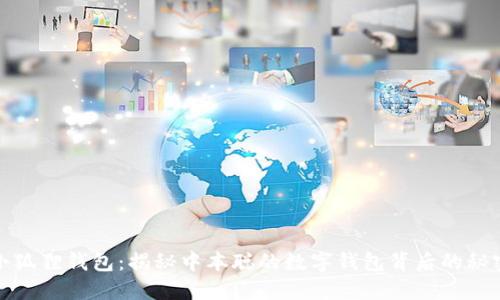 小狐狸钱包：揭秘中本聪的数字钱包背后的秘密