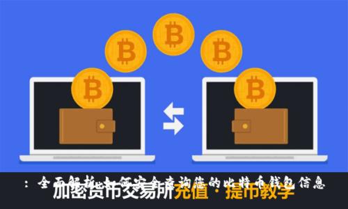 : 全面解析：如何安全查询您的比特币钱包信息