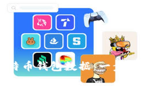 如何高效查看比特币钱包数据：一步一步掌握你的资产