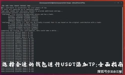 选择合适的钱包进行USDT添加TP：全面指南